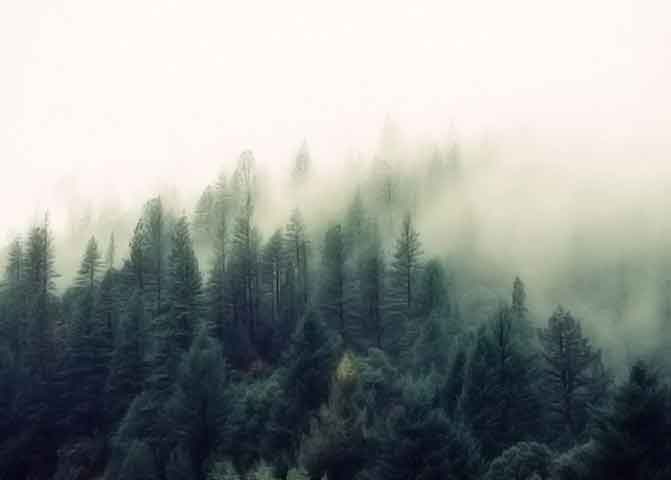 哪里便宜轰炸电话网页版